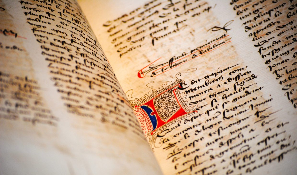 Photo by: Turn Over A New Leaf